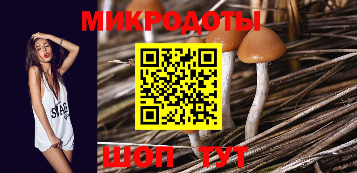 Искитим  Псилоцибиновые грибы MAGIC MUSHROOMS  Вход с VPN  Псилоцибиновые грибы Magic Shrooms 