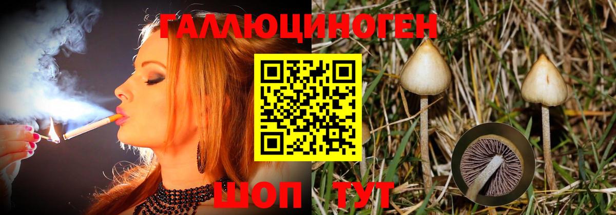 Псилоцибиновые грибы GOLDEN TEACHER Искитим